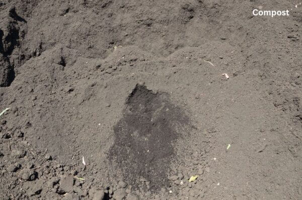 Compost - Kapiti Branch