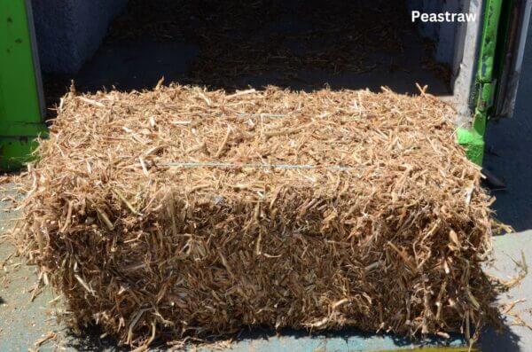 Pea Straw - Wellington